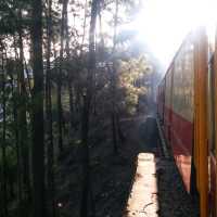 นั่งรถไฟ Toy Train สายโรแมนติก อินเดีย