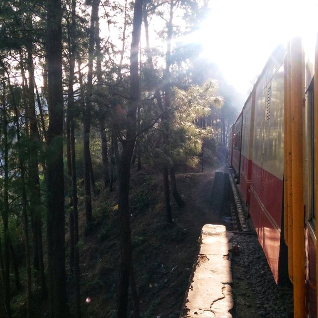 นั่งรถไฟ Toy Train สายโรแมนติก อินเดีย