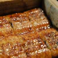 미슐랭 1스타 및  각종 맛집 리스트에 등재 된 장어집 - ふぢ井