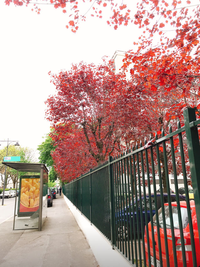 What's to expect in Paris in spring? One word: colorful.