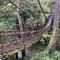 【福井】スリル満点！恋の吊り橋🩵🩵