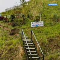  Pyramid Hill: Sabah's Hiking Paradise