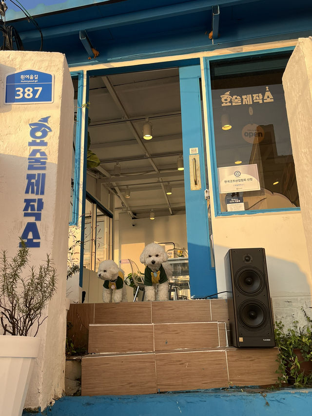 韓國🇰🇷釜山｜白淺灘文化村☁️彷如希臘聖托里尼藍白小鎮🩵