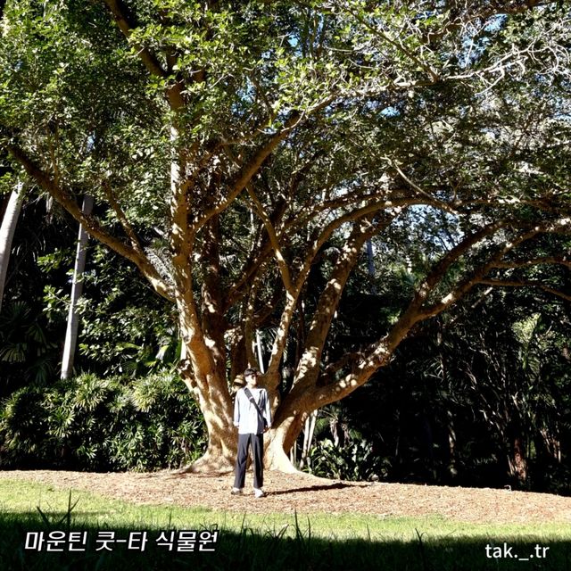 호주 브리즈번 마운틴 쿳-타 전망대와ㅡ식물원🇦🇺
