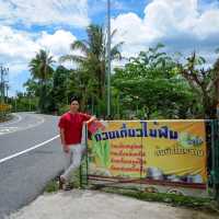  ร้านก๋วยเตี๋ยวไม้ฟืน ต้มยำโบราณ บ่อดาน พังงา