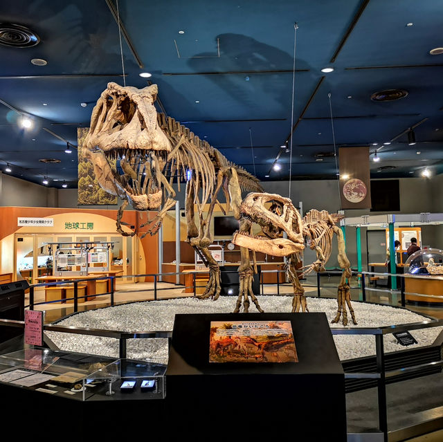 Science Wonders: My Fun Day at Nagoya City Science Museum!