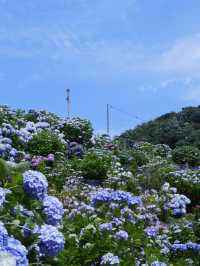 名古屋一日遊：花海＋溫泉