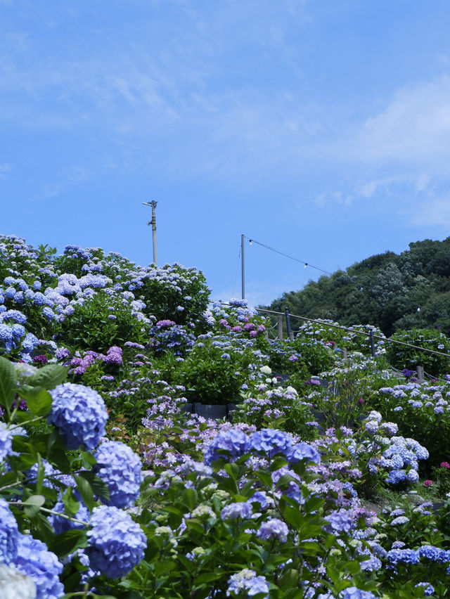 名古屋一日遊：花海＋溫泉