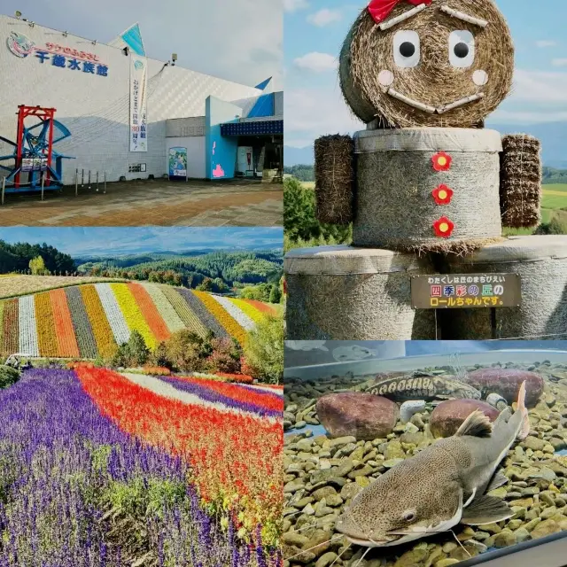 北海道好去處