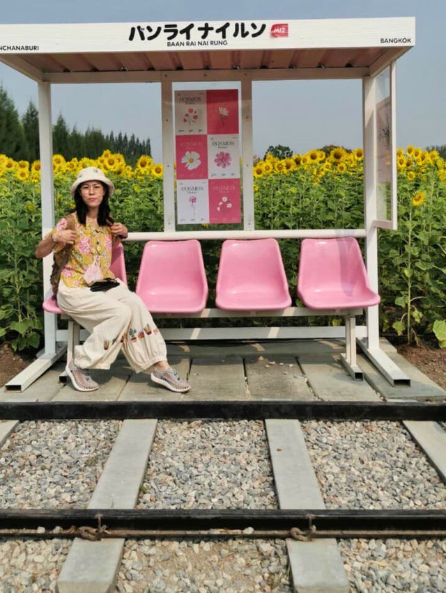 🤩 Baan Rai Nai Rung