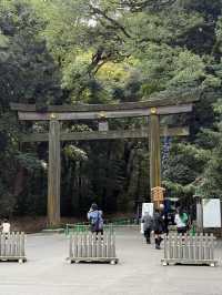 東京明治神宮｜自由行必到