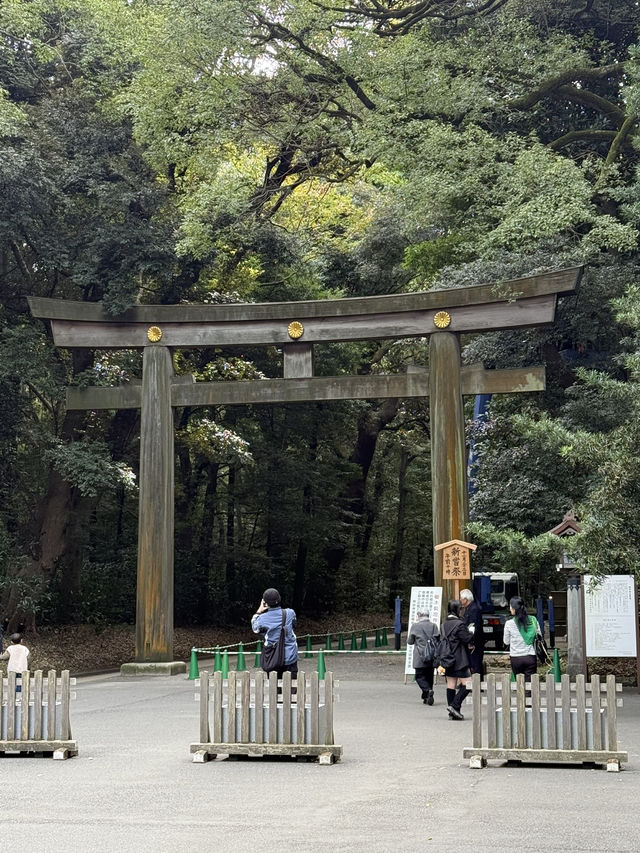 東京明治神宮｜自由行必到