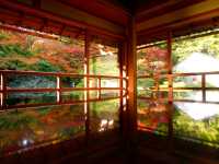 【滋賀県】滋賀の名勝逆さ紅葉！旧竹林院