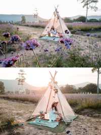 ไปนอนเต็นท์สุดชิค ท่ามกลางขุนเขาและดอกไม้⛺️🌸