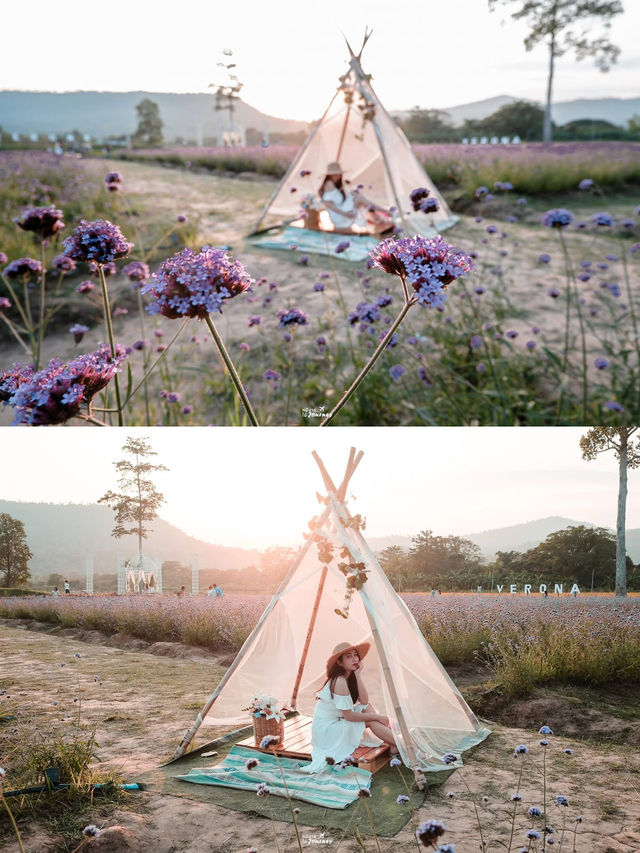 ไปนอนเต็นท์สุดชิค ท่ามกลางขุนเขาและดอกไม้⛺️🌸