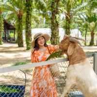 ที่พัก 5 ดาวติดทะเลเขาหลัก 