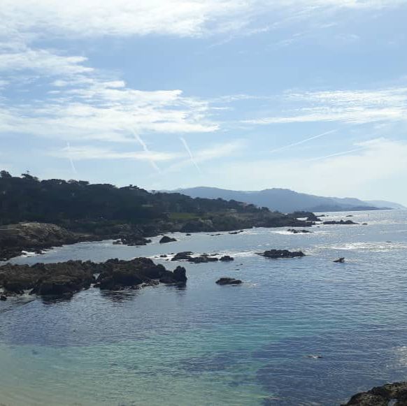 Discover the Splendid View of 17 miles drive at California