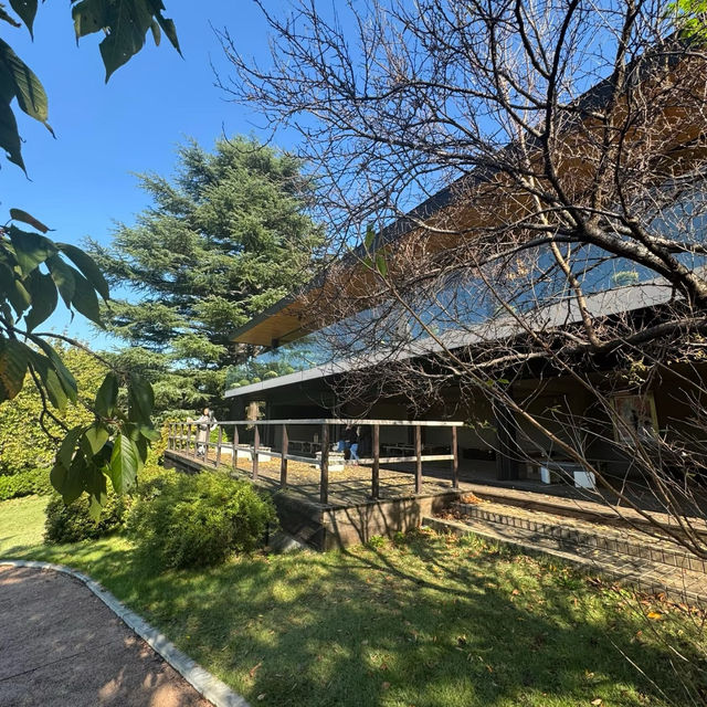 寶池公園：綠意自然樂土 🌳✨