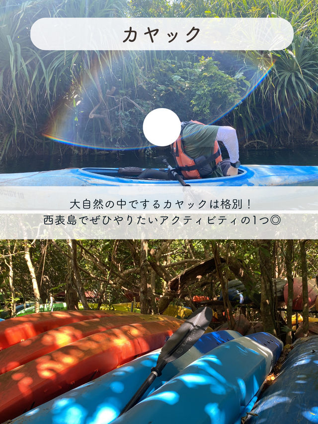 【西表島】楽しいアクティビティを紹介✨