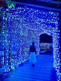 大阪 ❤︎ クリスマスに行きたいイルミネーション🌟 無料で遊べる光空間 ✨