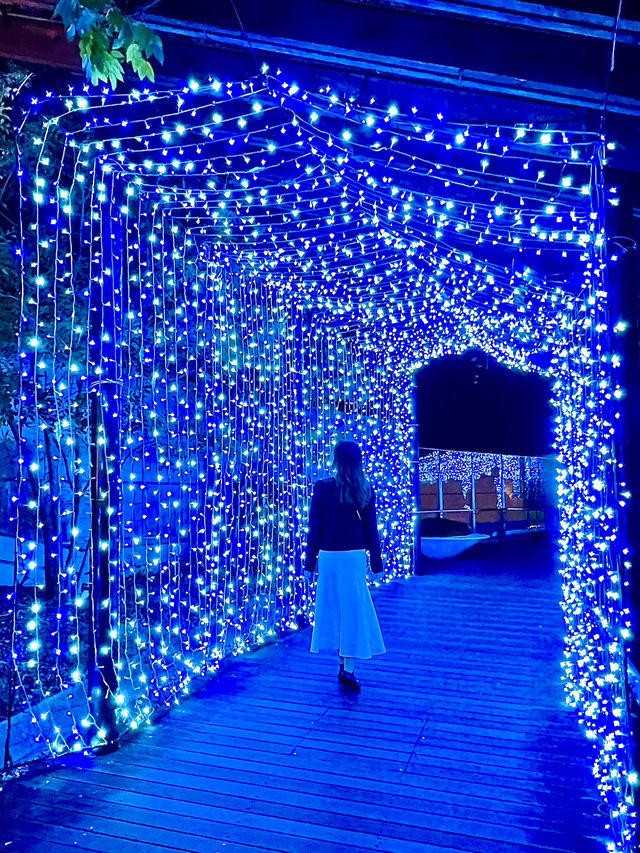 大阪 ❤︎ クリスマスに行きたいイルミネーション🌟 無料で遊べる光空間 ✨