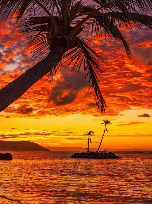🎅🏼Santa’s Top 3 Spots for a Sunset in Oahu! Ho Ho Ho!