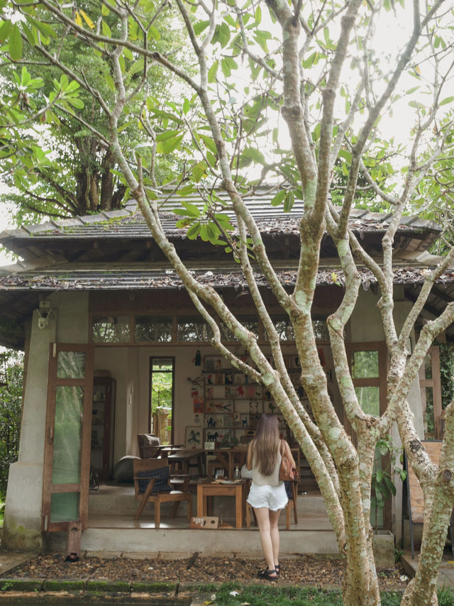 Art Farm Studio 🐢