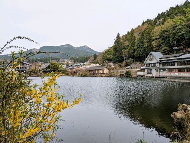 九州由布院人氣景點，仙霧夢幻的金鱗湖