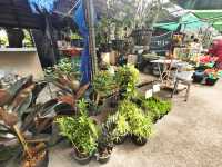หาขนมกินที่ตลาดน้ำบางน้ำผึ้งกันเถอะ