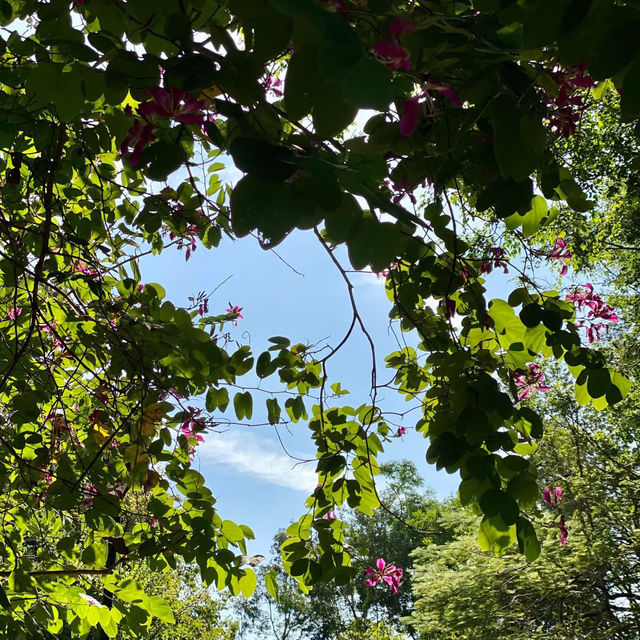 ～安山都市自然公園～城市綠洲～