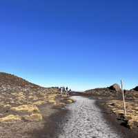 Tongariro alpine crossing amidst volcanoes - New Zealand