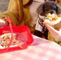 【愛知】ペットと乗り物に乗れるラグーナテンボス🐶