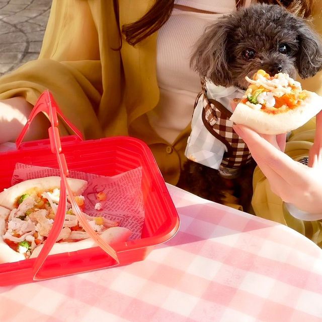 【愛知】ペットと乗り物に乗れるラグーナテンボス🐶