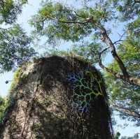 林內紙蝶生態地景園區(寶隆紙廠) 