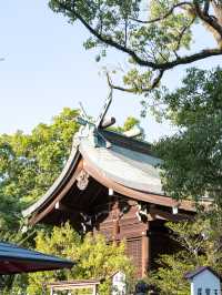 恋木神社　📍福岡