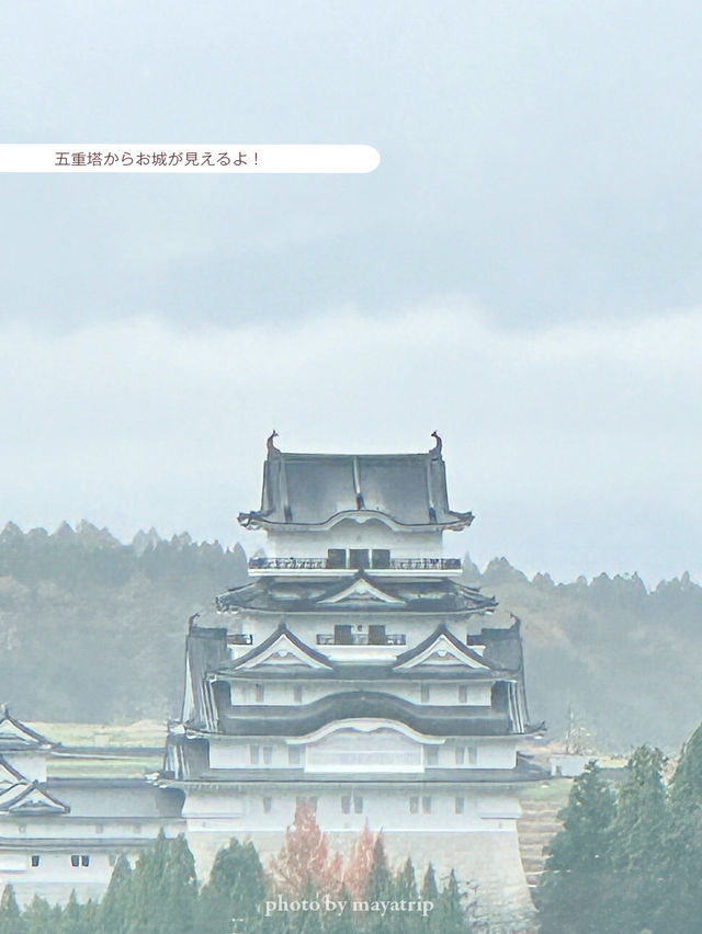 五重塔からの景色がとっても最高！日本一の五重塔【福井】
