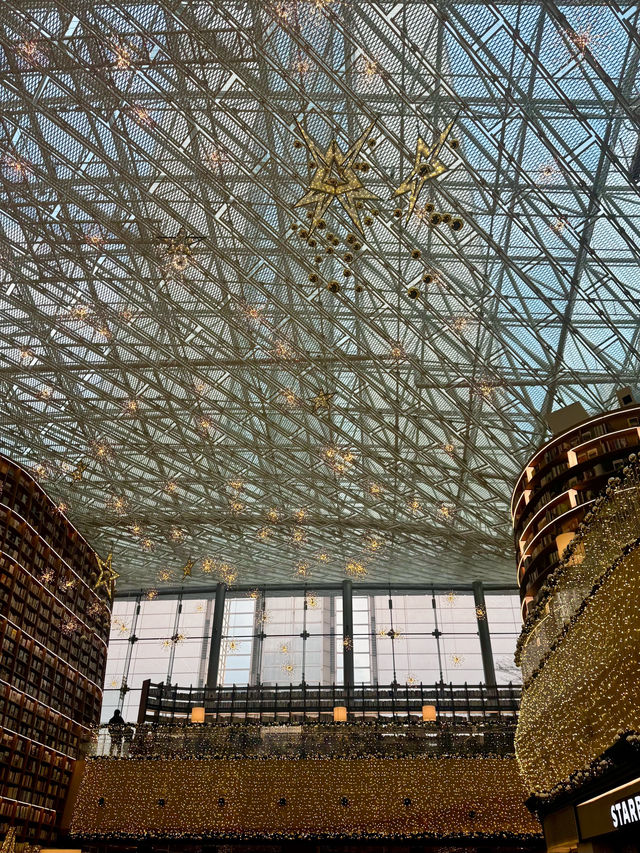 🇰🇷코엑스 놀거리 별마당 도서관 책과 트리📖✨📷