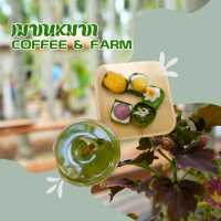 🍮 ฌาณหมาก coffee & farm
