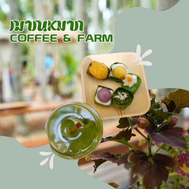 🍮 ฌาณหมาก coffee & farm