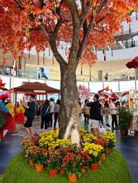 Chinese New Year is coming after the Christmas 🧧🎍