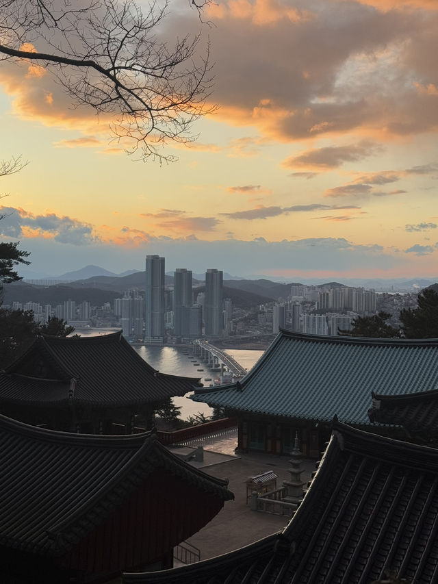 노을이 지는 시간 무조건 가보세여