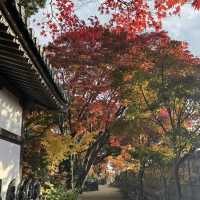 如意輪寺(青蛙寺)比太宰府更值得去的景點