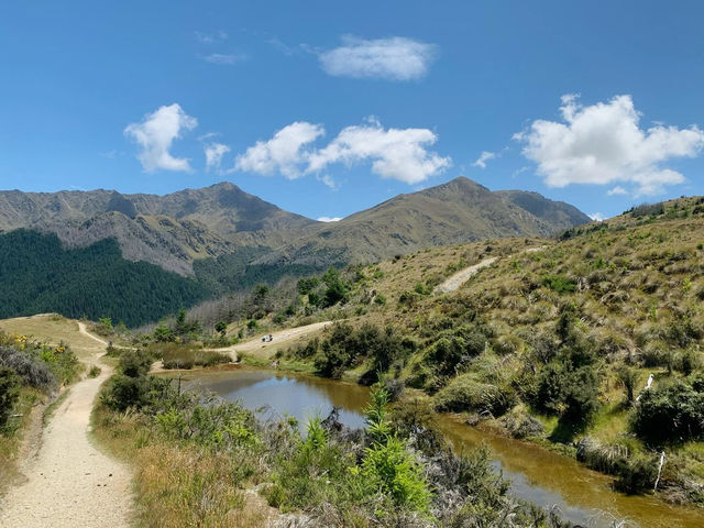Hiking the Scenic Queenstown Hill