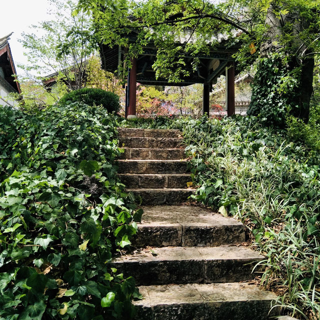 Timeless Streets and Artistic Treasures of Lijiang Timeless Streets and Artistic Treasures of Lijiang