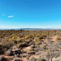 Exploring the Australian Arid Lands Botanic Garden: A Unique Desert Oasis
