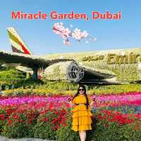 🌸 A Blooming Paradise: Dubai Miracle Garden 🌸