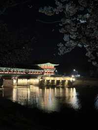 경주 야경 보기_ 월정교 !🌙