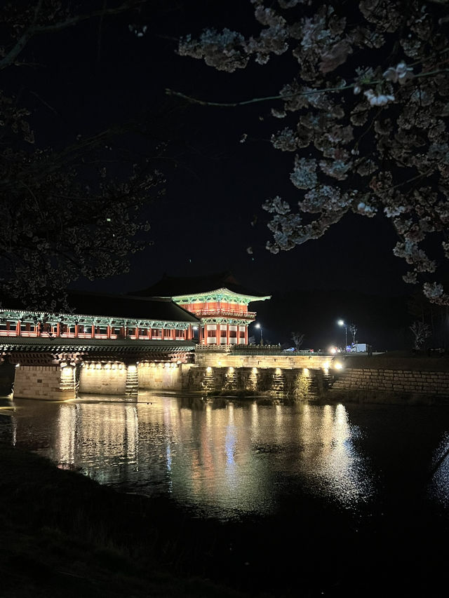 경주 야경 보기_ 월정교 !🌙