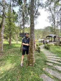 Gaharu Tea Valley: A Tranquil Escape into Nature
