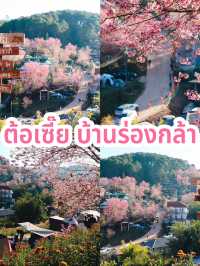 ต้อเซี๊ย บ้านร่องกล้า